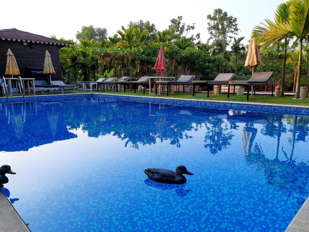 Go Green Spice & Eco Resort Cavelossim Luaran gambar