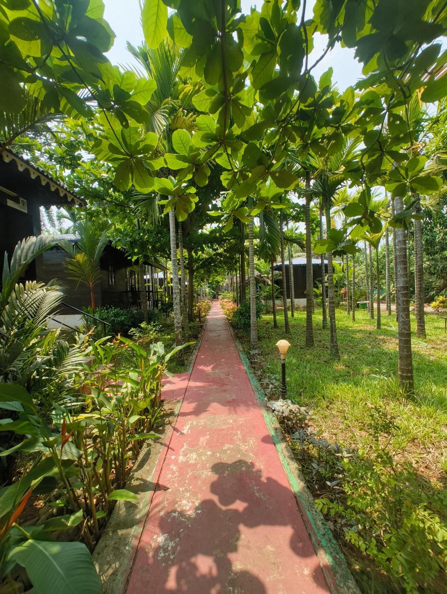 Go Green Spice & Eco Resort Cavelossim Luaran gambar